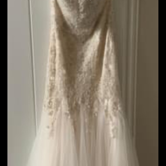 Beautiful Champagne Wedding Dress - Picture 2 of 9